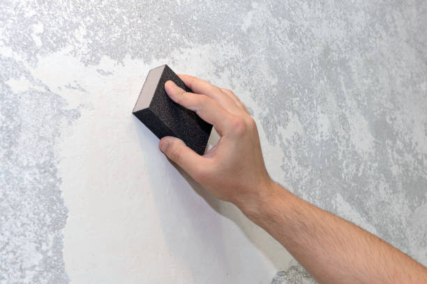Best Black Mold Removal  in South Hill, NY