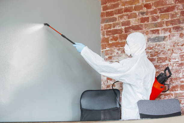 Best Mold Removal for HVAC Installations  in South Hill, NY