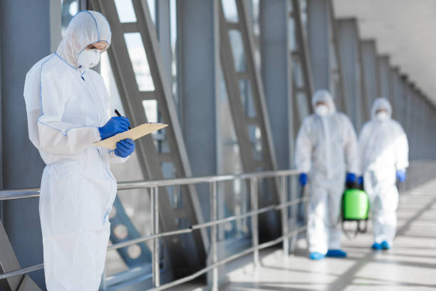 Best Mold Prevention Services  in South Hill, NY
