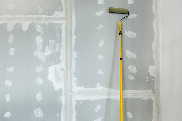 Best Mold Remediation for Healthcare Facilities  in South Hill, NY