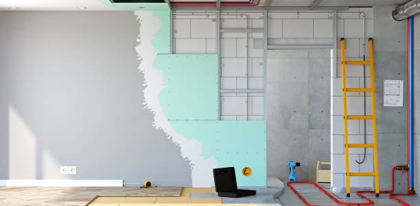 Best Basement Mold Removal  in South Hill, NY