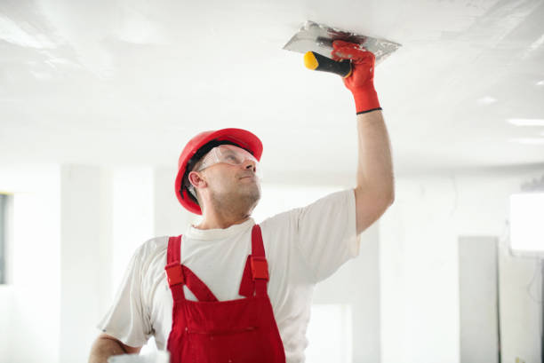 Best Mold Documentation for Insurance Claims  in South Hill, NY