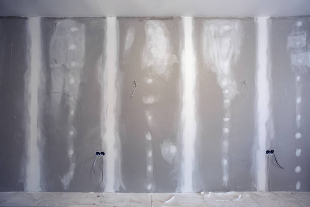 Best Emergency Mold Remediation  in South Hill, NY